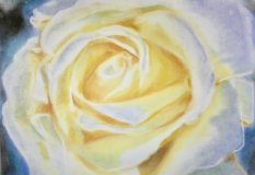 CEACC56D-5D7C-4AC7-AD3E-ACA717D7932A_1_201_a